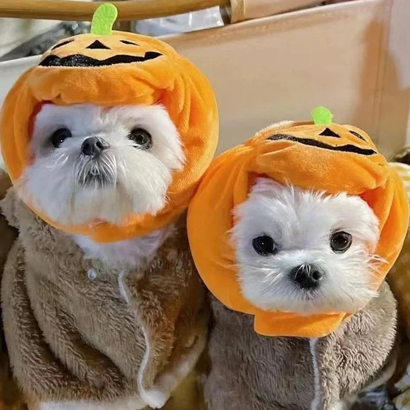 Cute Pet Hat Halloween Pumpkin Pet Dog Cat Hat Dress Up Headdress Small Dog Cat Cosplay Costume Decorative Hat Pet Accessoires